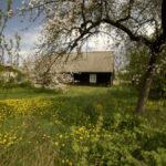 sprzedaż domu na wsi